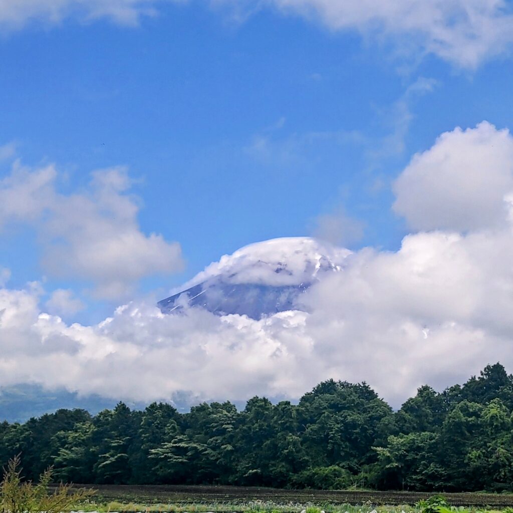 contatto con la nature~sorriso carino https://sorrisocarino.com/wp-content/uploads/2024/05/contatto-con-la-naturesorriso-carino.jpg