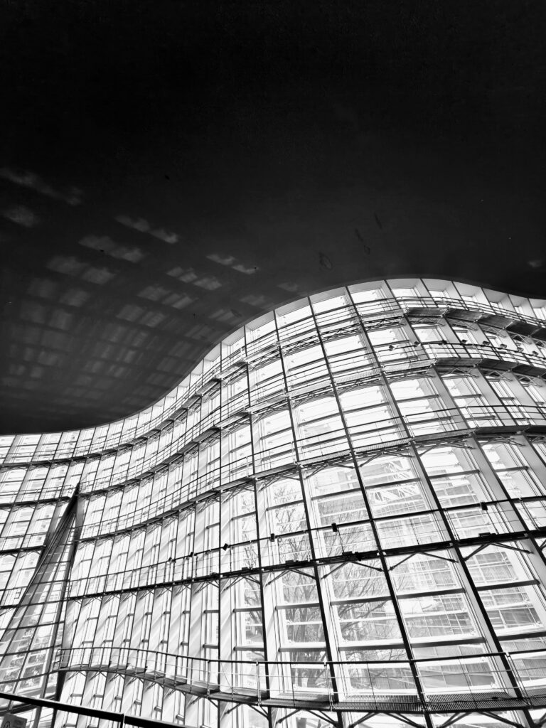 国立新美術館 https://sorrisocarino.com/wp-content/uploads/2026/02/260216130809907-scaled.jpg